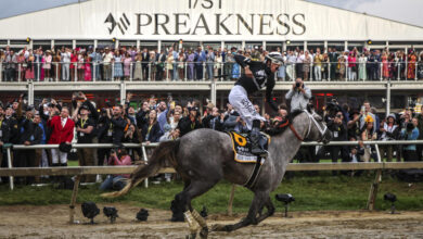 Preakness Stakes 2024: Seize The Grey wins in Baltimore, ending Mystik Dan's Triple Crown hopes