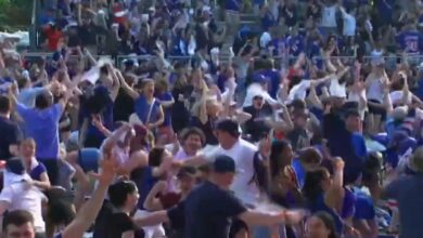 Rangers fans celebrate the overtime goal Sunday while in Central Park.