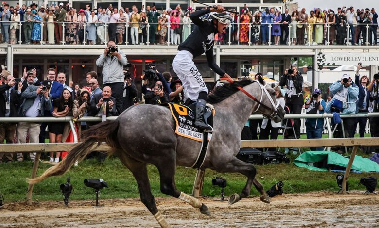 Seize The Grey wins 149th Preakness Stakes; Mystik Dan finishes 2nd