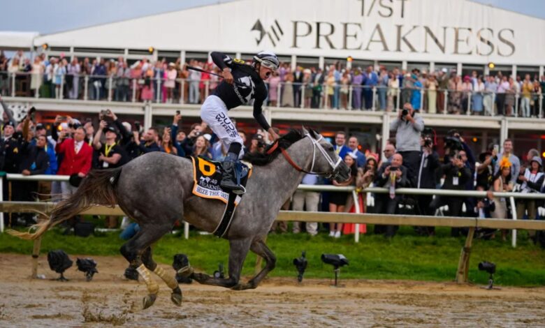 Seize the Grey wins 149th Preakness Stakes