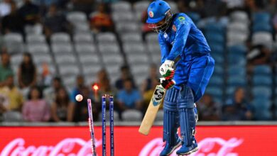 Afghanistan Bowled Out For 56 In T20 World Cup Semi-final, England Great Blames India