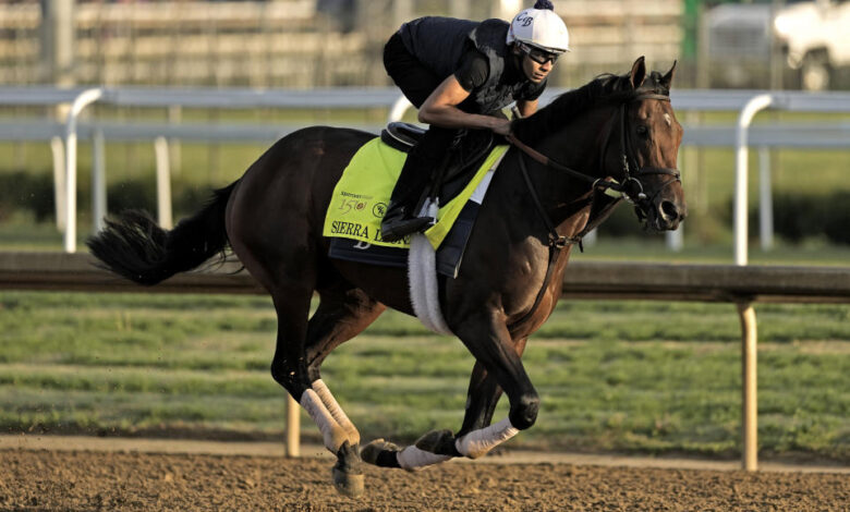 Kentucky Derby hopeful Sierra Leone works out at Churchill Downs Wednesday, May 1, 2024, in Louisville, Ky. The 150th running of the Kentucky Derby is scheduled for Saturday, May 4. (AP Photo/Charlie Riedel)