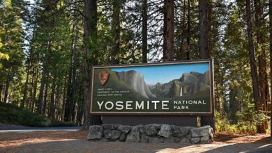 Professional rock climber sentenced to life in prison for sexual assaults at Yosemite National Park