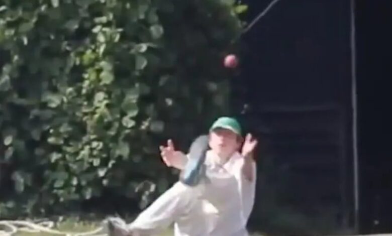 'Greatest Dropped Catch' Effort Is Viral, Fan Says "Tribute To Pakistan". Watch